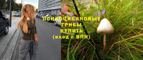 apvp Балахна